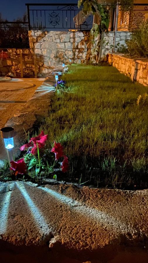 Studios&Apartment Niko Luka كساميل المظهر الخارجي الصورة